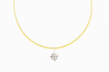 18CT white gold and diamond pendant on 18ct gold necklace. Yellow gold one side and white gold on the reverse side.