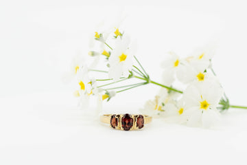 9ct Yellow Gold Trilogy Garnet Ring #27964