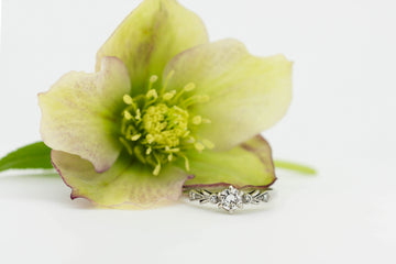 18ct Gold & Platinum Diamond Ring #28020