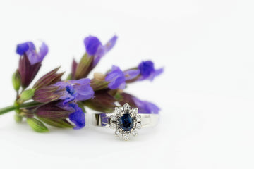 18ct White Gold Sapphire & Diamond Ring #27899-2