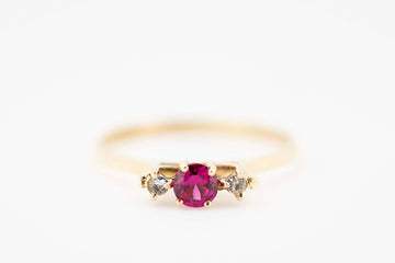 AUCTION WINNER 19/05/24 - 9ct Yellow Gold Ring with Bright Red Sapphire and Diamonds (Copy)