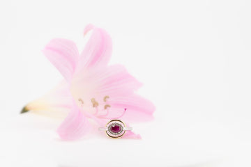9ct white and yellow gold ring with diamonds and Garnet
