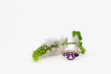 Amethyst set 9ct in yellow gold ring