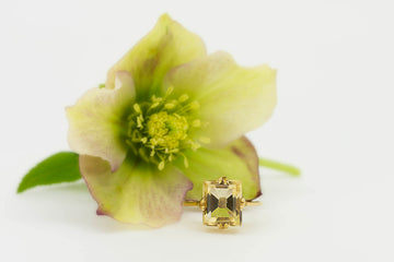 21ct Yellow Gold Citrine Ring #28021