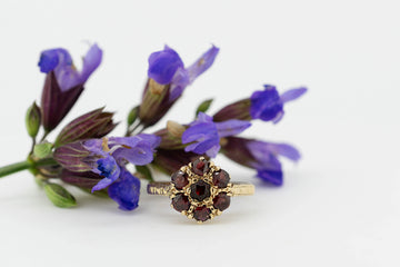 9ct Yellow Gold & Garnet Ring  #28027