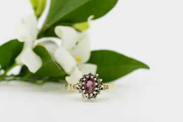 9ct Yellow Gold Ruby and Diamond Ring #28108-5