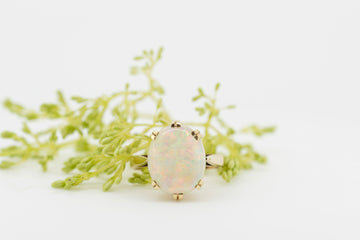 10ct Yellow Gold Claw Set Solid White Opal Ring #28133-3