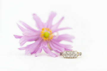18ct Yellow Gold 3 Row Pave Set 9 Diamonds Ring #8359