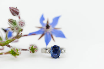18ct White Gold Blue Sapphire and Diamond Ring #9378